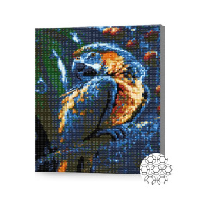 Papagal frumos, 30x40 cm, mozaic cu diamante