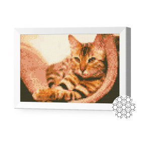 Motan vărgat, 20x30 cm, mozaic cu diamante