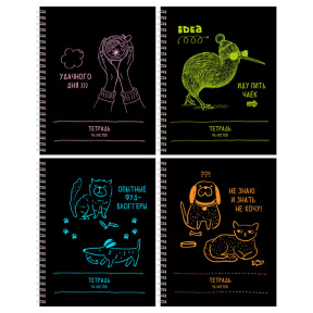 Тетрадь 96 листов линия на спирали BG "Распорядок дня"