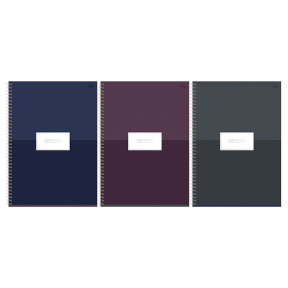 Caiet cu spiră A4 pătrățele 80 foi BG "Minimal"