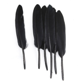 Halloween, Set pene pentru decor 50 buc, negru