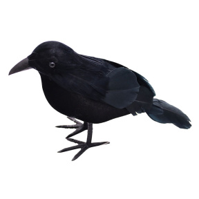 Halloween, Cioară neagră pentru decor 18 cm