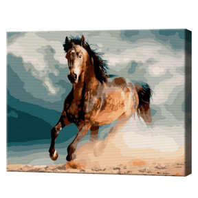 Cal mândru, 30x40 cm, pictură pe numere