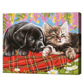 Щенок и котенок, 30x40 см, картина по номерам
