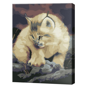 Котенок рыси, 30x40 см, картина по номерам