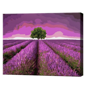 Лавандовое поле, 30x40 см, картина по номерам