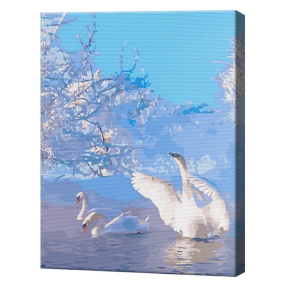 Лебеди на зимнем озере, 30x40 см, картина по номерам