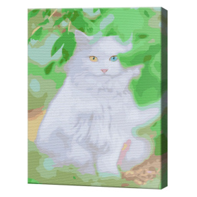 Белый кот, 30x40 см, картина по номерам
