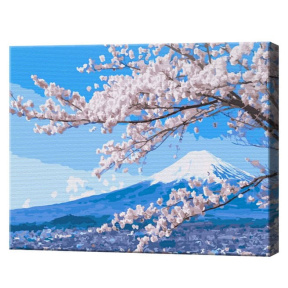 Цветущая сакура у Фудзи, 30x40 см, картина по номерам