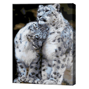 Leoparzi zăpezilor, 40x50 cm, pictură pe numere