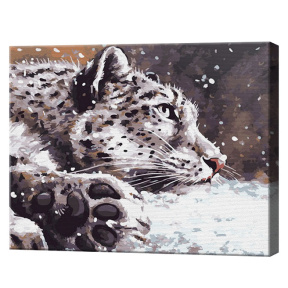 Leopardul zăpezilor și ninsoare, 40x50 cm, pictură pe numere