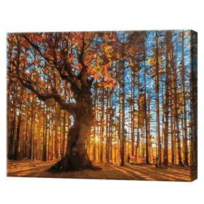 Золотой лес, 40х50 см, картина по номерам