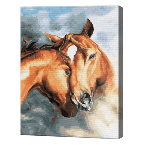 Нежность лошадей, 40х50 см, картина по номерам