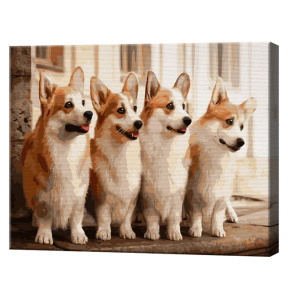 Милые корги, 40x50 см, картина по номерам