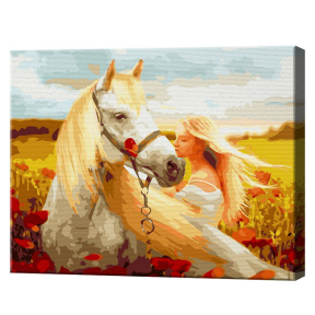 Девушка и белогривый конь, 40x50 см, картина по номерам