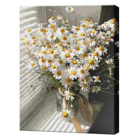 Ромашки у окна, 40x50 см, картина по номерам