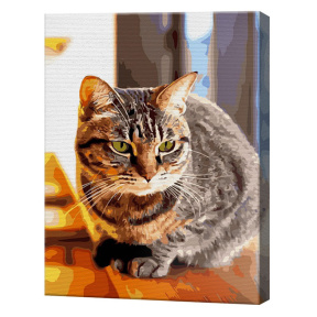 Полосатый котик, 40x50 см, картина по номерам