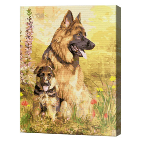 Немецкие овчарки, 40х50 см, картина по номерам