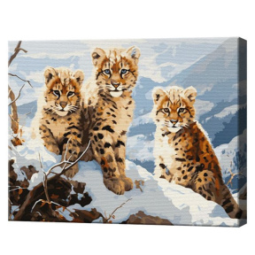 Дикие котята в снегу, 40х50 см, картина по номерам