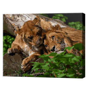 Лев и львица, 40x50 см, картина по номерам