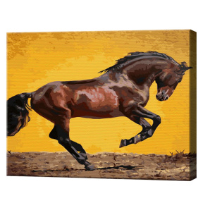 Роскошный конь, 40х50 см, картина по номерам