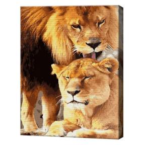 Нежность львов, 40x50 см, картина по номерам