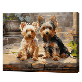 Йорки, 40x50 см, картина по номерам