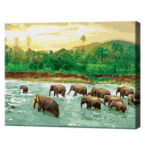 Слоны в джунглях, 40x50 см, картина по номерам