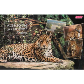 Альбом для рисования 16 листов 100г Animals