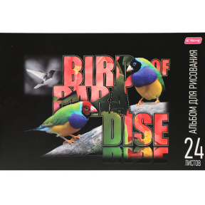 Альбом для рисования 24 листа 100г Birds