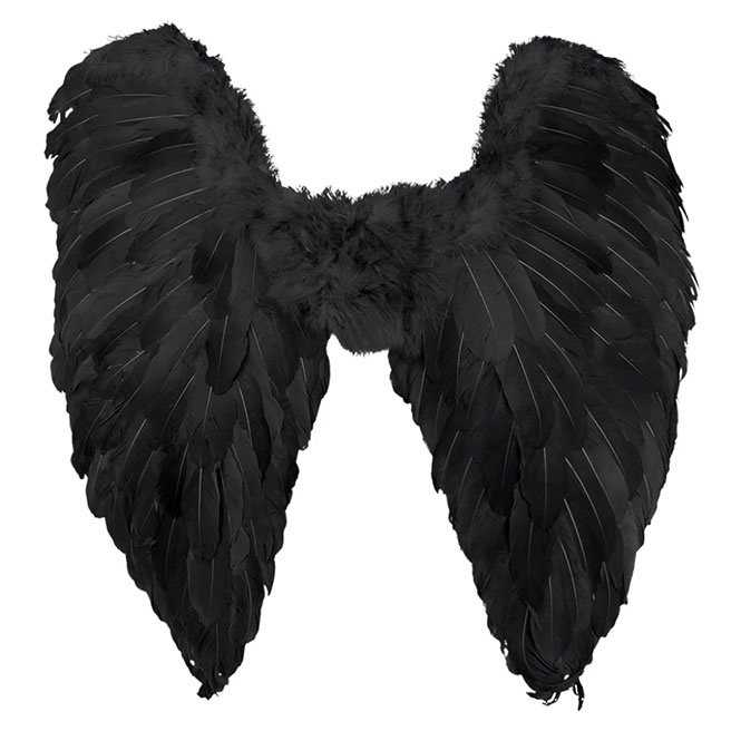 Aripi de Inger negre (65 x 65 cm)
