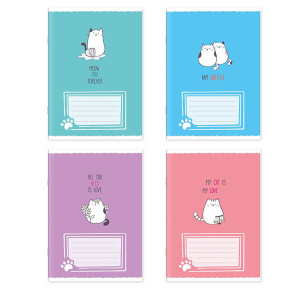 Тетрадь 24 листа евро линейка, ассорти