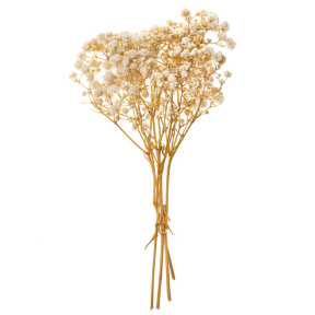 Décor Gypsophila, 4 buc, 20 cm, bej