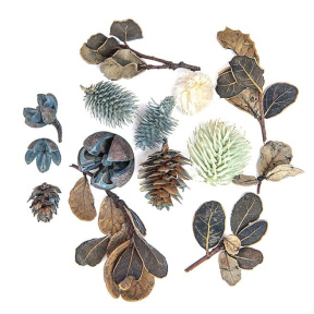 Decor pentru creație Fructe și frunze uscate, 14 buc., culori marine