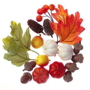 Elemente decorative, 19 buc., toamnă