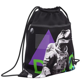 Сумка для обуви ErichKrause с карманом на молнии, Dino Hobby