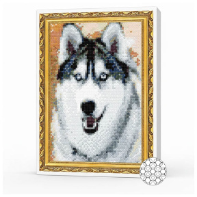 Прекрасный хаски, 20x30 см, алмазная мозаика