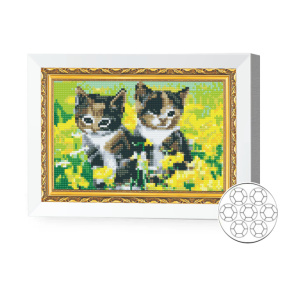 Mozaic cu diamante 20x30 cm Doi frati pufosi