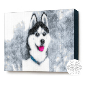 Хаски в лесу,30×40 cm,Алмазная мозаика