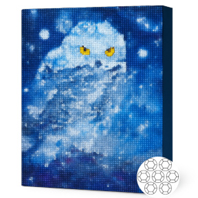 Белая сова, 30x40 см,алмазная мозаика