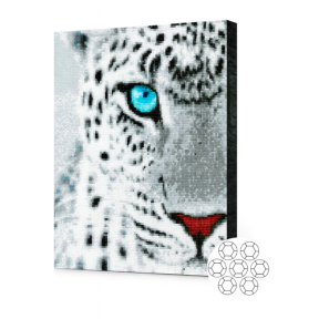 Голубоглазый хищник.Алмазная мозаика 40x50 см