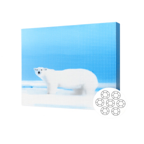 Белый медведь.Алмазная мозаика 40x50 см