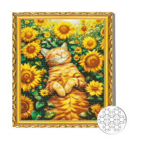 Рыжий котик среди подсолнухов  40x50 см Алмазная мозаик