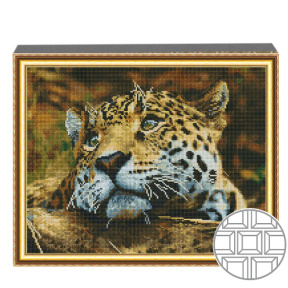 Mozaic cu diamante patrate 40x50 cm Privire patrunzatoare de pradator