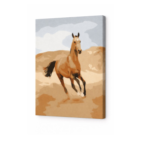 Pictura pe numere 20x30cm Cal nisipiu Art Gallery Premium