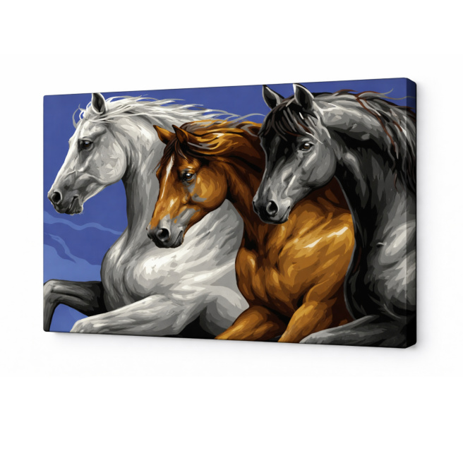 Pictura pe numere 20x30cm Trei cai Art Gallery Premium