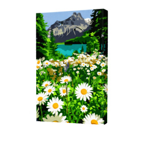 Ромашки в горах 20x30см Картина по номерам Art Gallery Premium