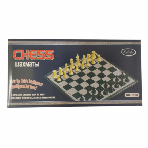 Joc de societate Șah magnetic (24x12x3,5), tablă alb-negru