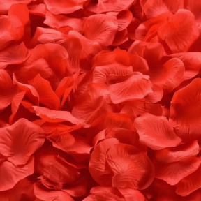 Petale de trandafir 1000 buc., roșu