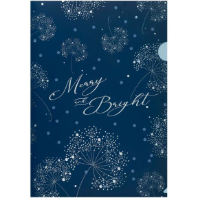 Папка-уголок А4 Axent Flower Symphony-4